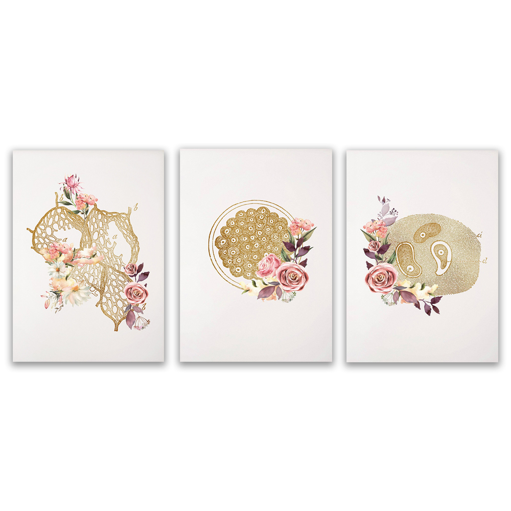 Medical Lab Gifts - Microbiologist lab technician gift office decor,
